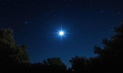 Fototapeta premium Bright Star Shining in Night Sky Surrounded by Stars and Trees