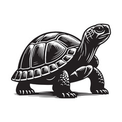 Charming Box Turtle silhouette, a small reptile with a big presence – Box Turtle illustration – Minimalist Box Turtle vector – Reptile silhouette

