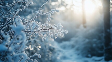Enchanting winter landscape, icy branches sparkling under soft sunlight