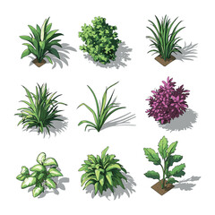 Isometric Garden Bushes and Plants Illustration