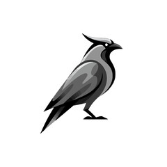 Fototapeta premium Elegant Monochrome Raven Illustration