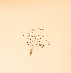 abstract background with papper