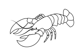 Detailed Line Art Illustration Of Lobster Isolated On White Background For Coloring Pages