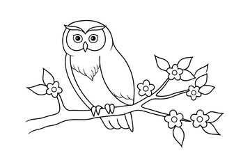 Black And White Owl Illustration Perched On Flowering Branch Coloring Page Design