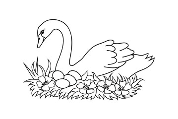 Elegant Swan Nesting With Eggs And Flowers Outline Simple Drawing