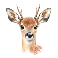 Fototapeta premium Watercolor illustration of cute deer head with antlers isolated on black background artwork image on transparent background