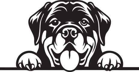 Rottweiler, rottie Peeking Dog,black vector silhouette illustration on white background
