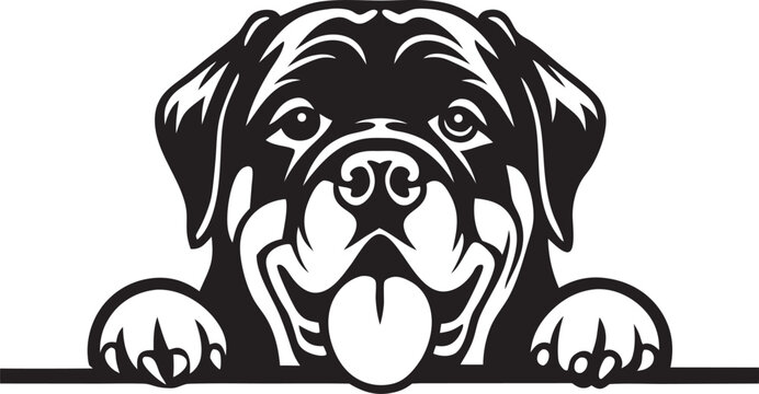 Rottweiler, rottie Peeking Dog,black vector silhouette illustration on white background
