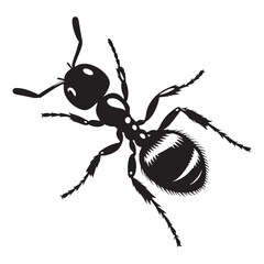 Fearless Ant silhouette, always ready for the next challenge – Ant illustration – Ant vector – Insect silhouette

