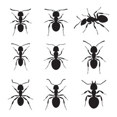 Ant silhouette marching in a line, a symbol of unity – Ant illustration – Ant vector – Insect silhouette

