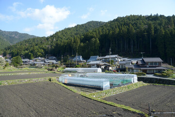 春の京都大原　京都市左京区