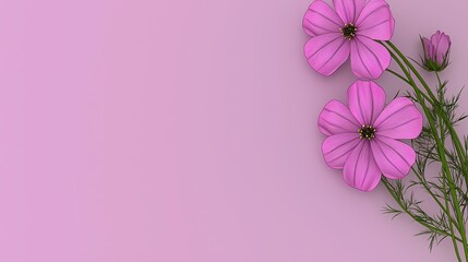 Fototapeta premium Pink Floral Design with Cosmos Flowers on Soft Pink Background