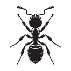 Resilient Ant silhouette, capable of carrying heavy loads – Ant illustration – Ant vector – Insect silhouette

