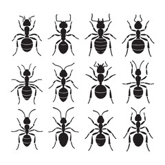 Diligent Ant silhouette, tirelessly building its nest – Ant illustration – Ant vector – Insect silhouette

