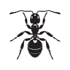 Organized Ant silhouette, a true team player – Ant illustration – Ant vector – Insect silhouette

