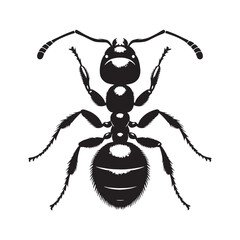 Small but mighty Ant silhouette, a tiny powerhouse – Ant illustration – Ant vector – Insect silhouette

