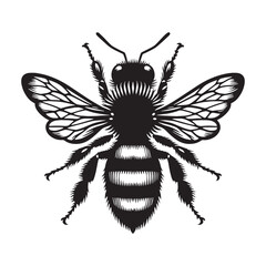 Harmonious Bee silhouette, buzzing in perfect rhythm with nature – Bee illustration – Bee vector – Insect silhouette

