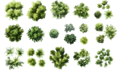 Various green trees, bushes and shrubs, top view for landscape design plan. Isolated watercolor illustration, PNG cutout.