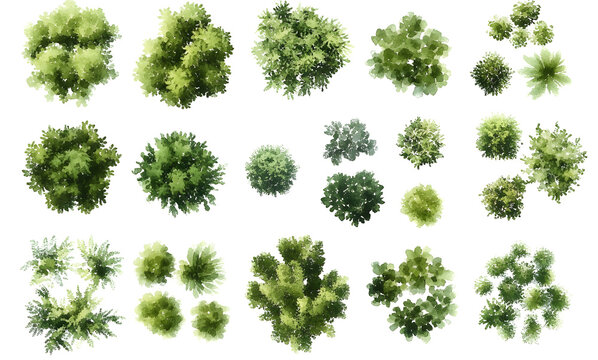 Various green trees, bushes and shrubs, top view for landscape design plan. Isolated watercolor illustration, PNG cutout.
