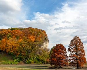 Obraz premium Landscape of a bluff covered by trees with brightly colored fall foliage near Grafton, Illinois
