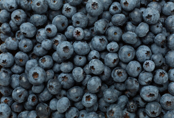 Fresh bright blueberries as background,top view