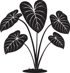 Silhouette of a taro plant  vector art illustration.