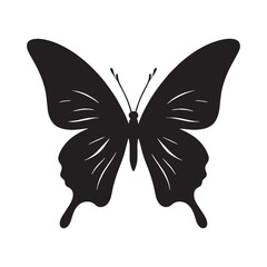 Colorful Butterfly silhouette, dancing through the meadows – Butterfly illustration – Butterfly vector – Insect silhouette

