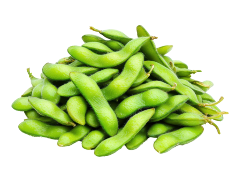 Isolated pile of fresh edamame pods