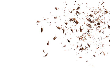 Cumin Isolated Image on transparent background