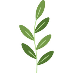  Hand Drawn Leaf 