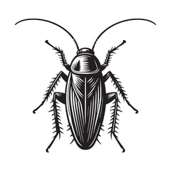 Unstoppable Cockroach silhouette, thriving where others cannot – Cockroach illustration – Cockroach vector – Insect silhouette

