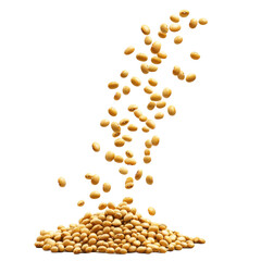 Falling Soybeans Image on transparent background