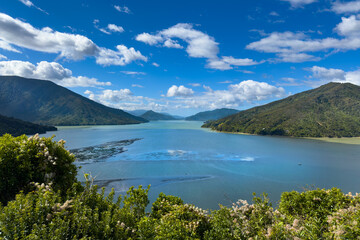 Pelorus Sound, New Zealand. Tranquil inlet in the Marlborough Sounds.