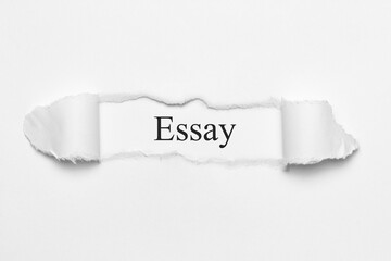 Essay	
