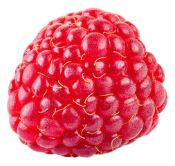 Raspberry isolated png. Raspberry on transparent background. Whole raspberry no background. Transparent png. Full depth of field.