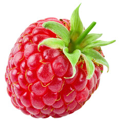 Raspberry isolated png. Raspberry on transparent background. Whole raspberry no background. Transparent png. Full depth of field.