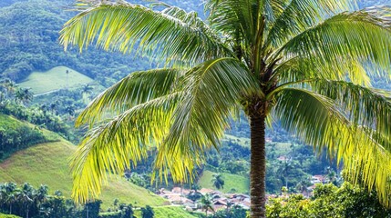 Fototapeta premium Lush palm tree in a mountainous landscape