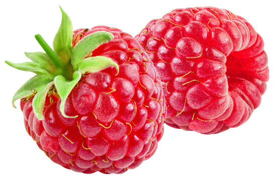 Raspberry isolated png. Raspberries on transparent background. Whole two raspberries no background. Transparent png. Full depth of field.