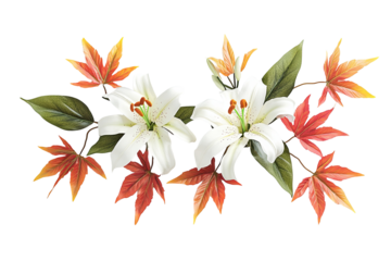 Illustration lilies with yellow, red, and brown leaves against transparent background