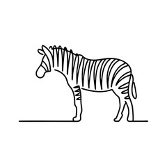 Zebra animal line art flat vector illustration.