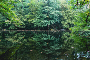 lake reflection, calm nature scene, Forest reflection in calm lake, Green trees mirrored in water, Peaceful forest and lake scene, Symmetrical nature in the lake, outdoor landscape, Persia, Iran