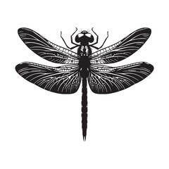 Dynamic Dragonfly silhouette, showcasing agility and speed – Dragonfly illustration – Dragonfly vector – Insect silhouette

