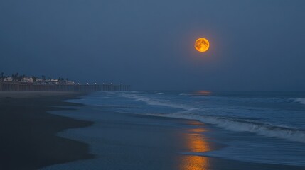 Obraz premium Moonlit Forest Night