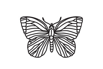 Line art botanical butterfly, drawing black outline isolated on white background. Hand drawn butterfly vector illustration. Graphic design doodle element for Birthday Coloring Card Print Icon Symbol