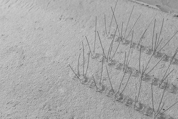 Metal spikes arranged on a grey surface for pest control measures indoors
