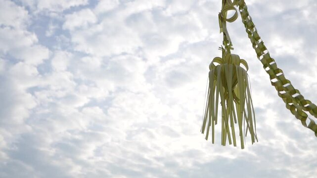 Janur Kuning - Java Culture Celebration