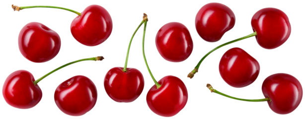 Cherry isolated png. Sour cherry with leaf on white or transparent background. Perfect retouched cherries on branch with leaves no background.  Png cherry flat lay.  Sour cherries background.