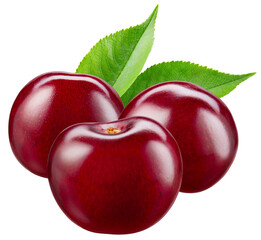 Cherry isolated png. Sour cherry with leaf on white or transparent background. Perfect retouched three cherries with leaves no background. Png cherry. Full depth of field.