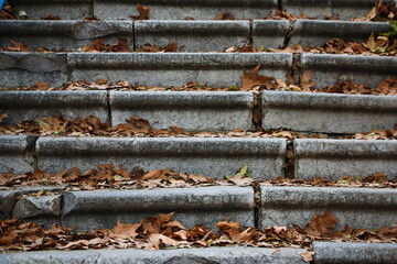 Stairs, Front view of stairs with autumn leaves, Horizontal stair lines with fall texture, Old steps with dry autumn leaves, urban texture, fall background, outdoor steps, Stone staircase