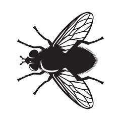 Sharp-winged Fly silhouette, streamlined for rapid motion – Fly illustration – Minimalist Fly vector – Insect silhouette

